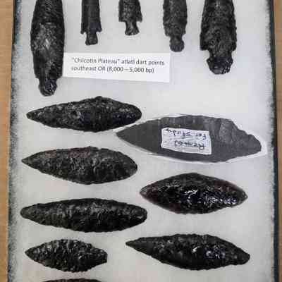 Projectile Point Board