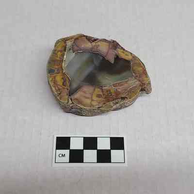 Thunderegg