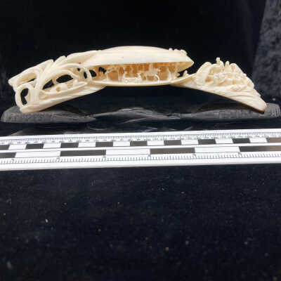 Carved Tusk