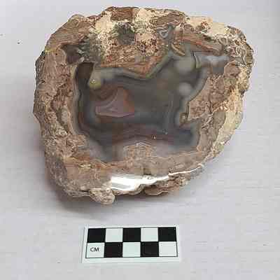 Thunderegg New Mexico