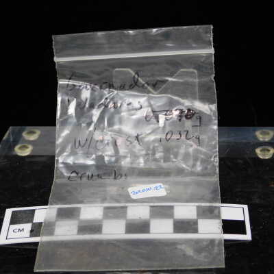 Meteorite Governador Valadares crumbs