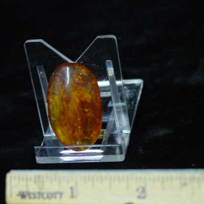 Amber cab