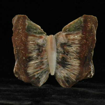 Quartz var. Agate