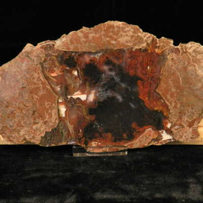 Plume Agate