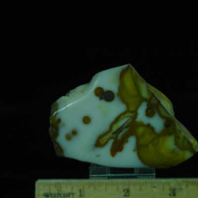Polka Dot Agate