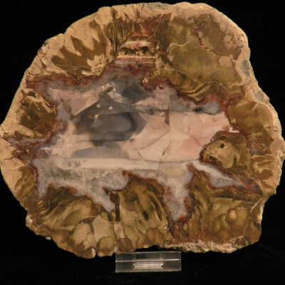 Thunderegg