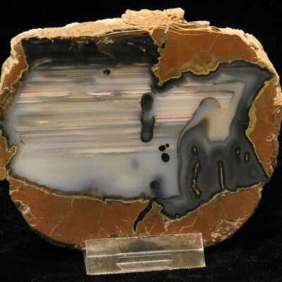 Thunderegg
