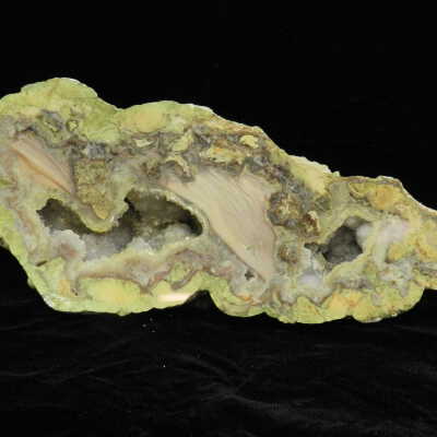 Buchanan Thunderegg
