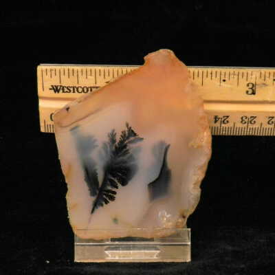 Dendritic Agate