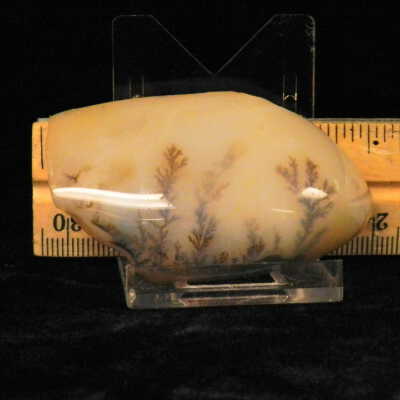 Dendritic Agate