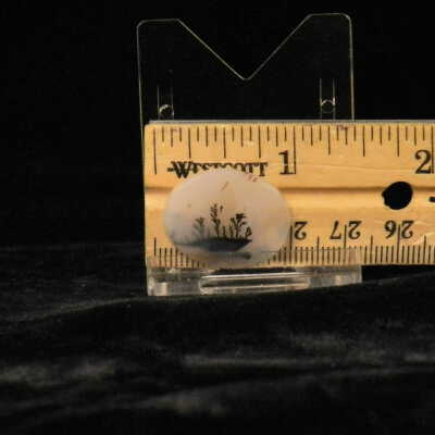 Dendritic Agate