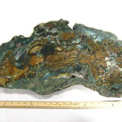 Limb Cast