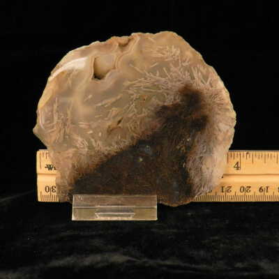 Quartz var. Agate (sagenite)