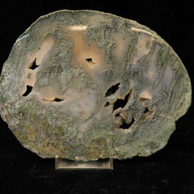 Limb Cast