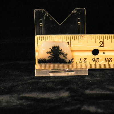 Dendritic Agate