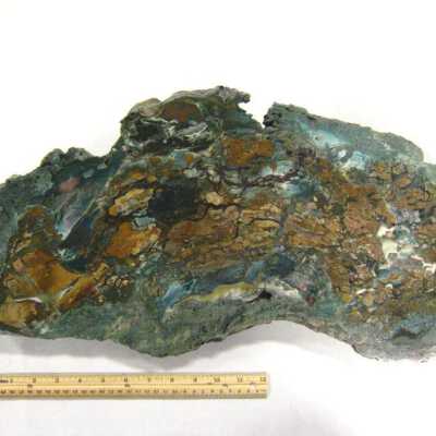 Limb Cast