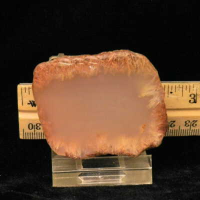 Dendritic Agate