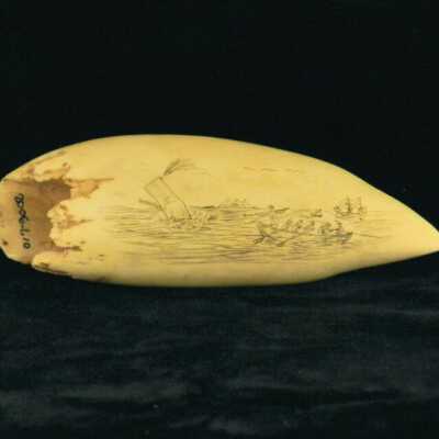 Scrimshaw