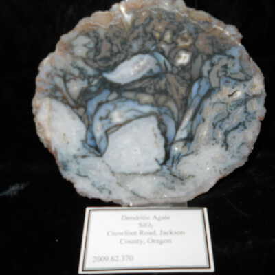 Medfordite (Agate)