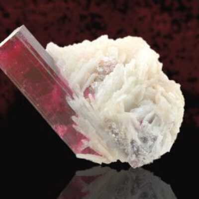Rubellite in Albite