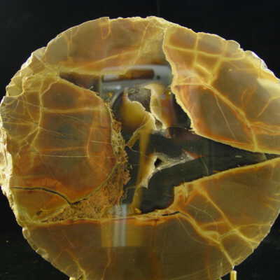 Thunderegg