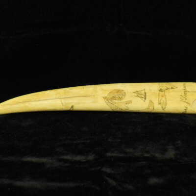Scrimshaw