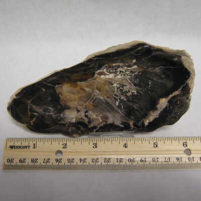 Juniper