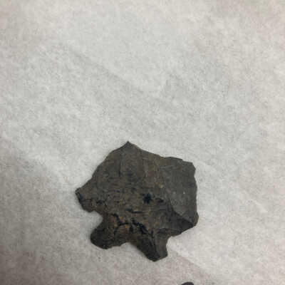 Projectile Point Fragment Proximal