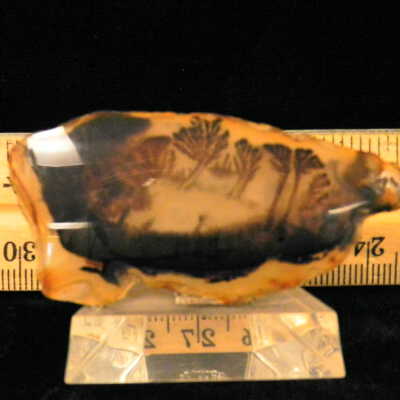 Dendritic Agate