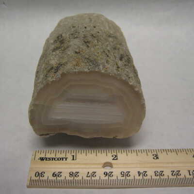 Limb Cast with Water Lines