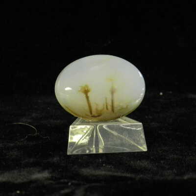 Quartz var. Agate