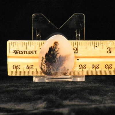 Dendritic Agate