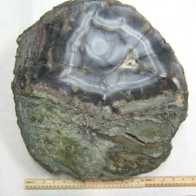 Limb Cast