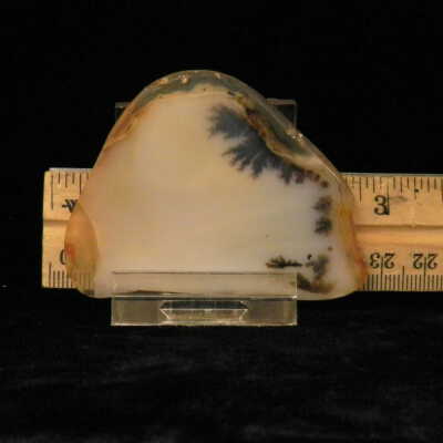 Dendritic Agate