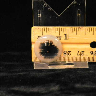 Dendritic Agate