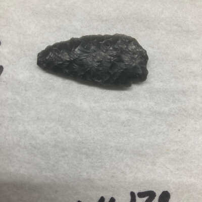 Projectile Point