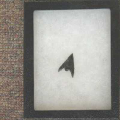 black arrowhead