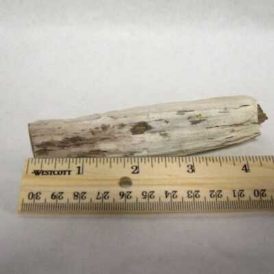 Limb Cast