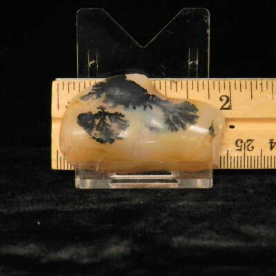 Dendritic Agate