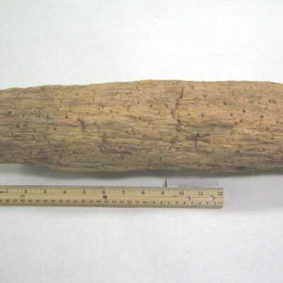 Limb Cast