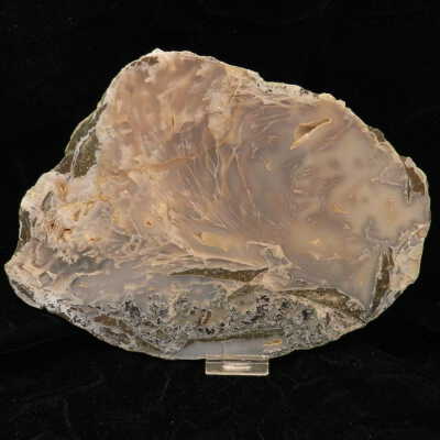 Limb Cast