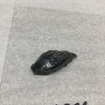 Projectile Point Fragment
