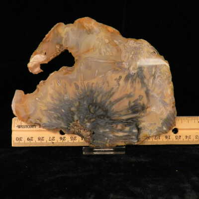 Quartz var. Agate (sagenite)