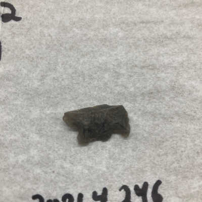Projectile Point Fragment Proximal