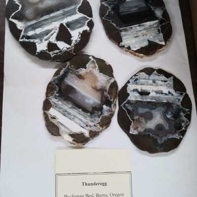 Thunderegg