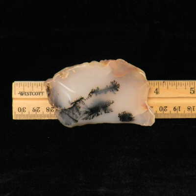 Dendritic Agate