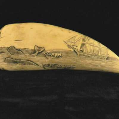Two Whales & Ship