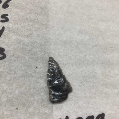 Projectile Point