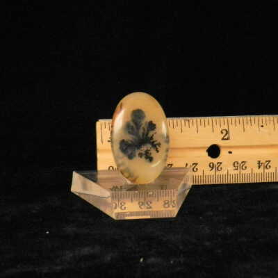 Dendritic Agate