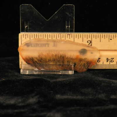 Quartz var. Agate (sagenite)